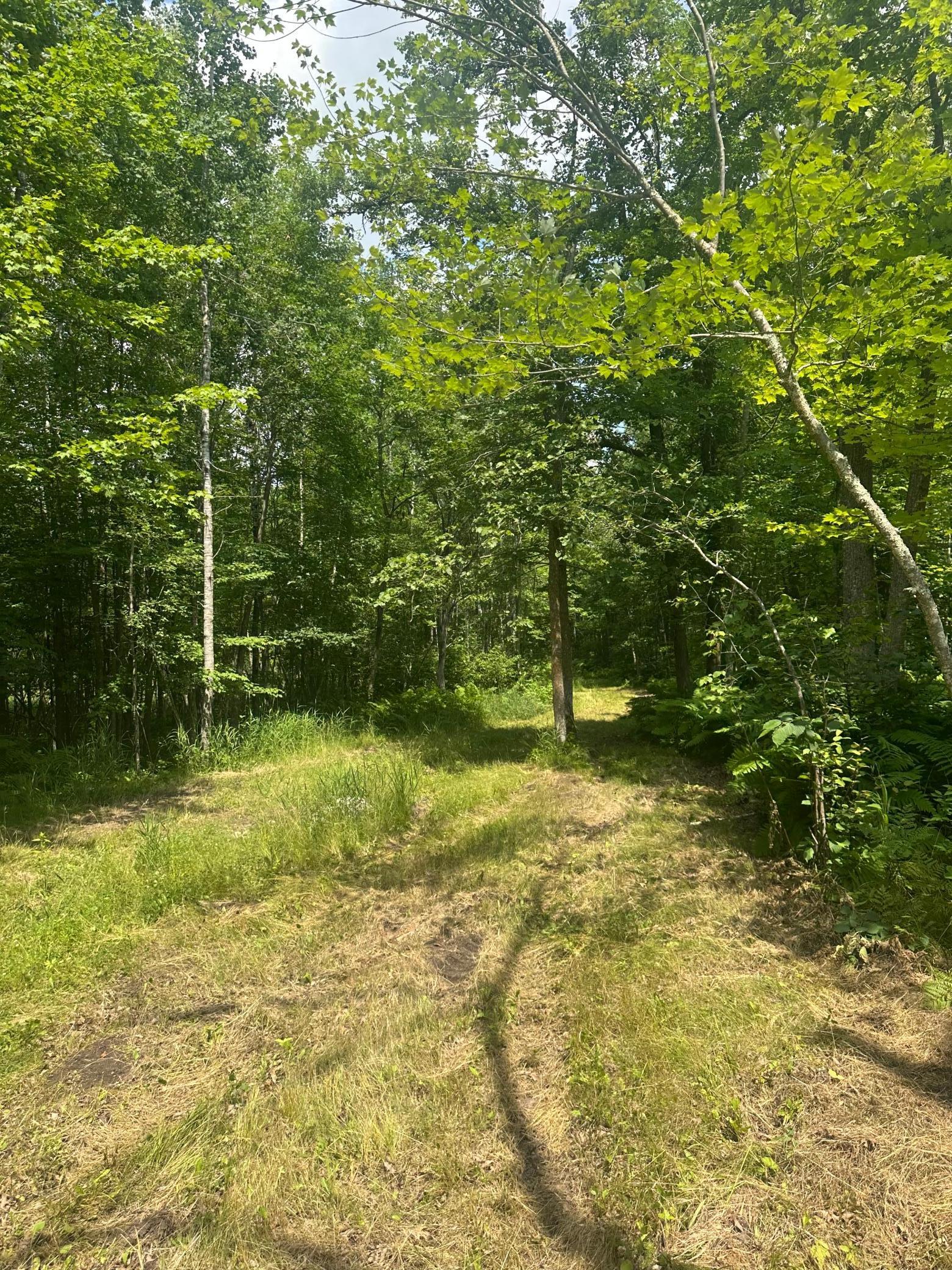 Tbd Tbd Olander Road Crosby, MN 56441 - Photo 17 of 22