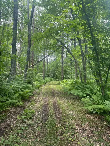 $310,000 | Tbd Tbd Olander Road, Crosby, MN 56441