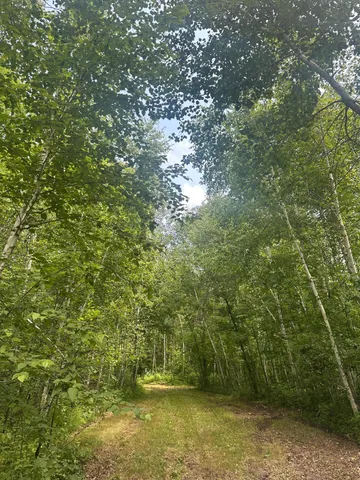 $310,000 | Tbd Tbd Olander Road, Crosby, MN 56441