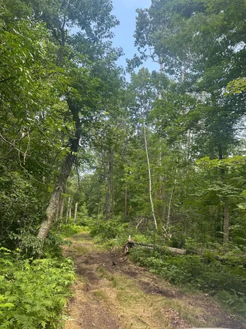 $310,000 | Tbd Tbd Olander Road, Crosby, MN 56441