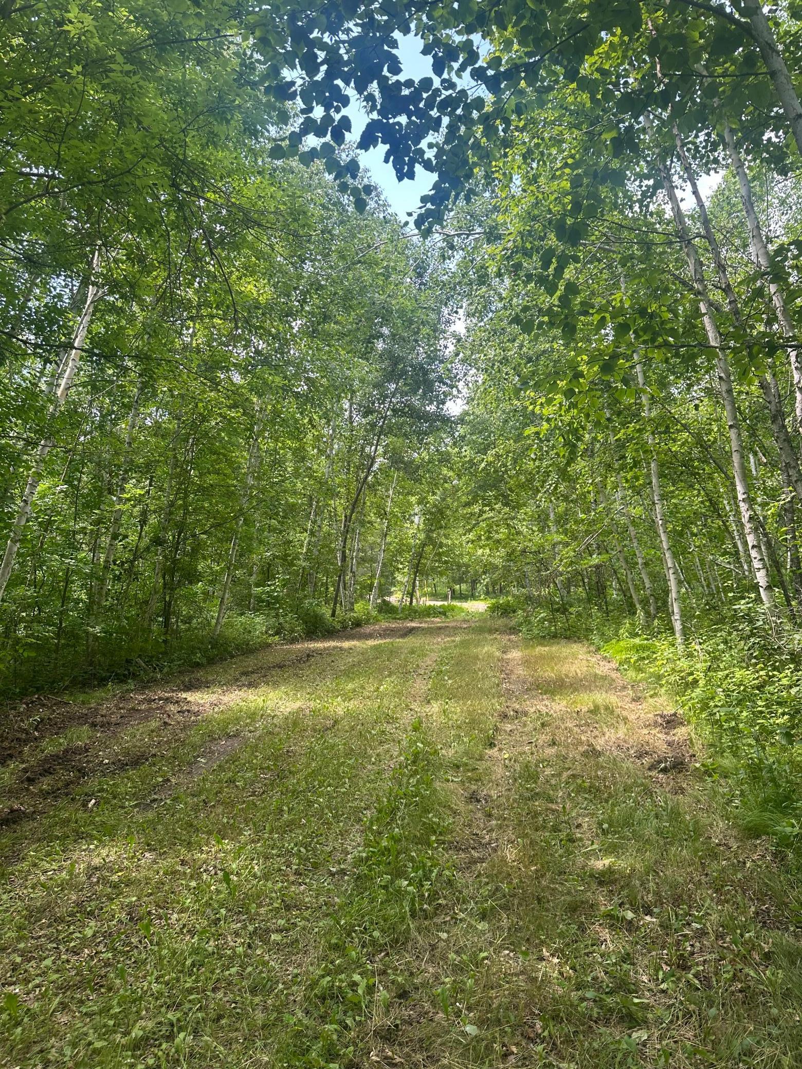 Tbd Tbd Olander Road Crosby, MN 56441 - Photo 5 of 22