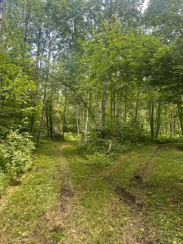 $310,000 | Tbd Tbd Olander Road, Crosby, MN 56441