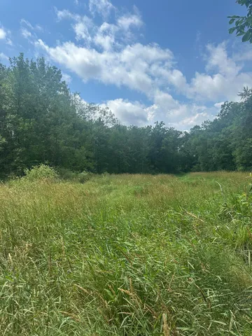 $310,000 | Tbd Tbd Olander Road, Crosby, MN 56441