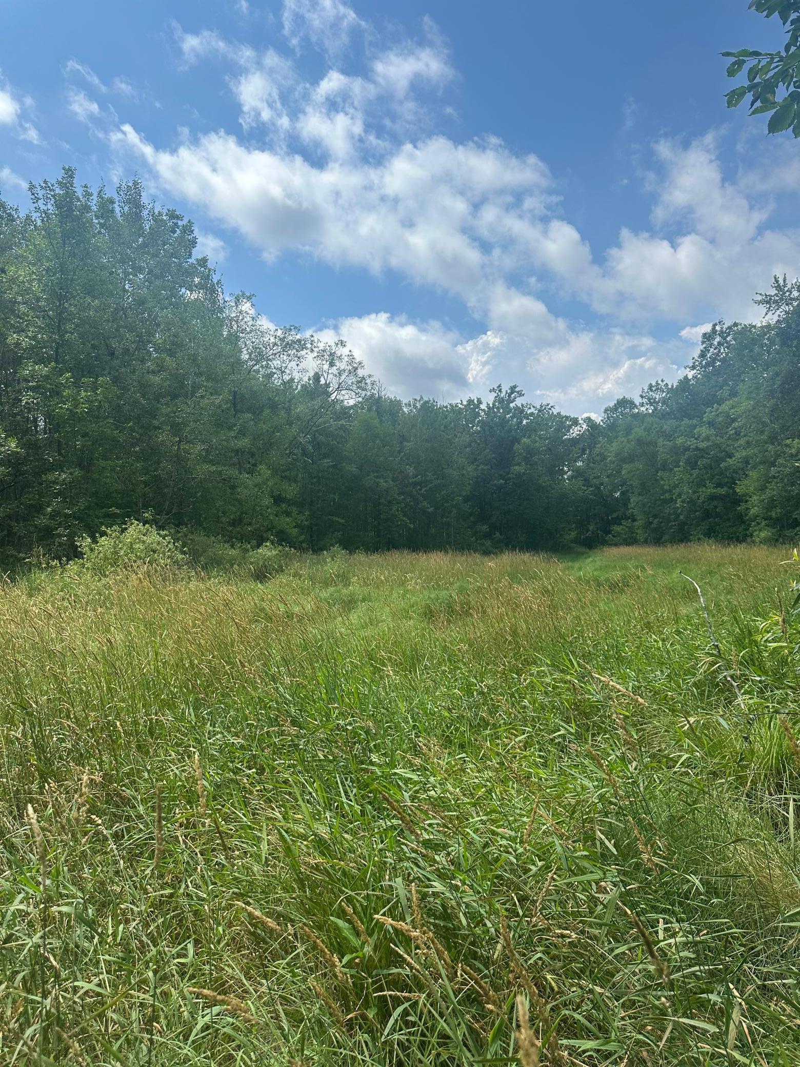 Tbd Tbd Olander Road Crosby, MN 56441 - Photo 7 of 22