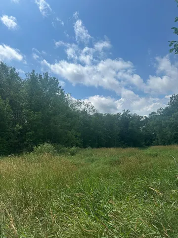 $310,000 | Tbd Tbd Olander Road, Crosby, MN 56441