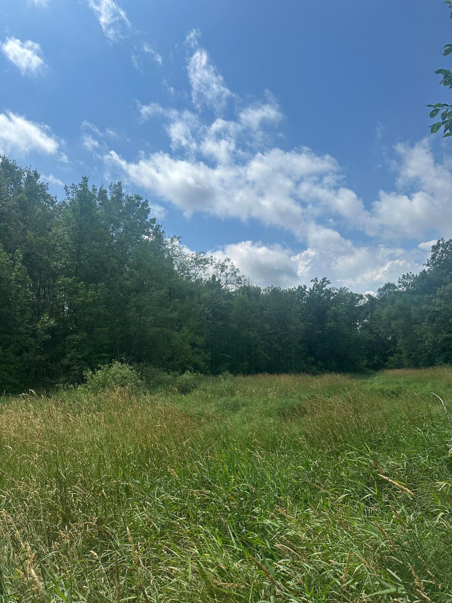 Tbd Tbd Olander Road Crosby, MN 56441 - Photo 8 of 22