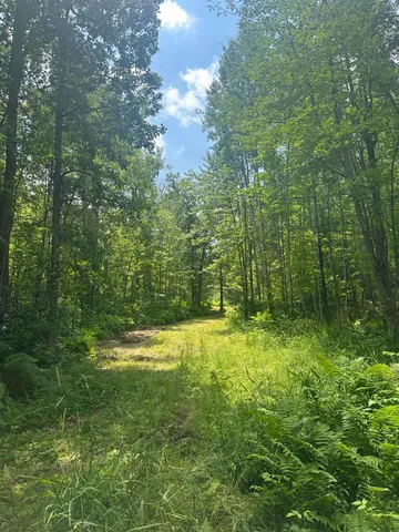 $310,000 | Tbd Tbd Olander Road, Crosby, MN 56441