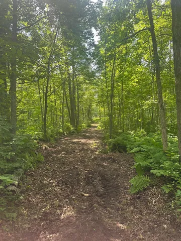 $310,000 | Tbd Tbd Olander Road, Crosby, MN 56441