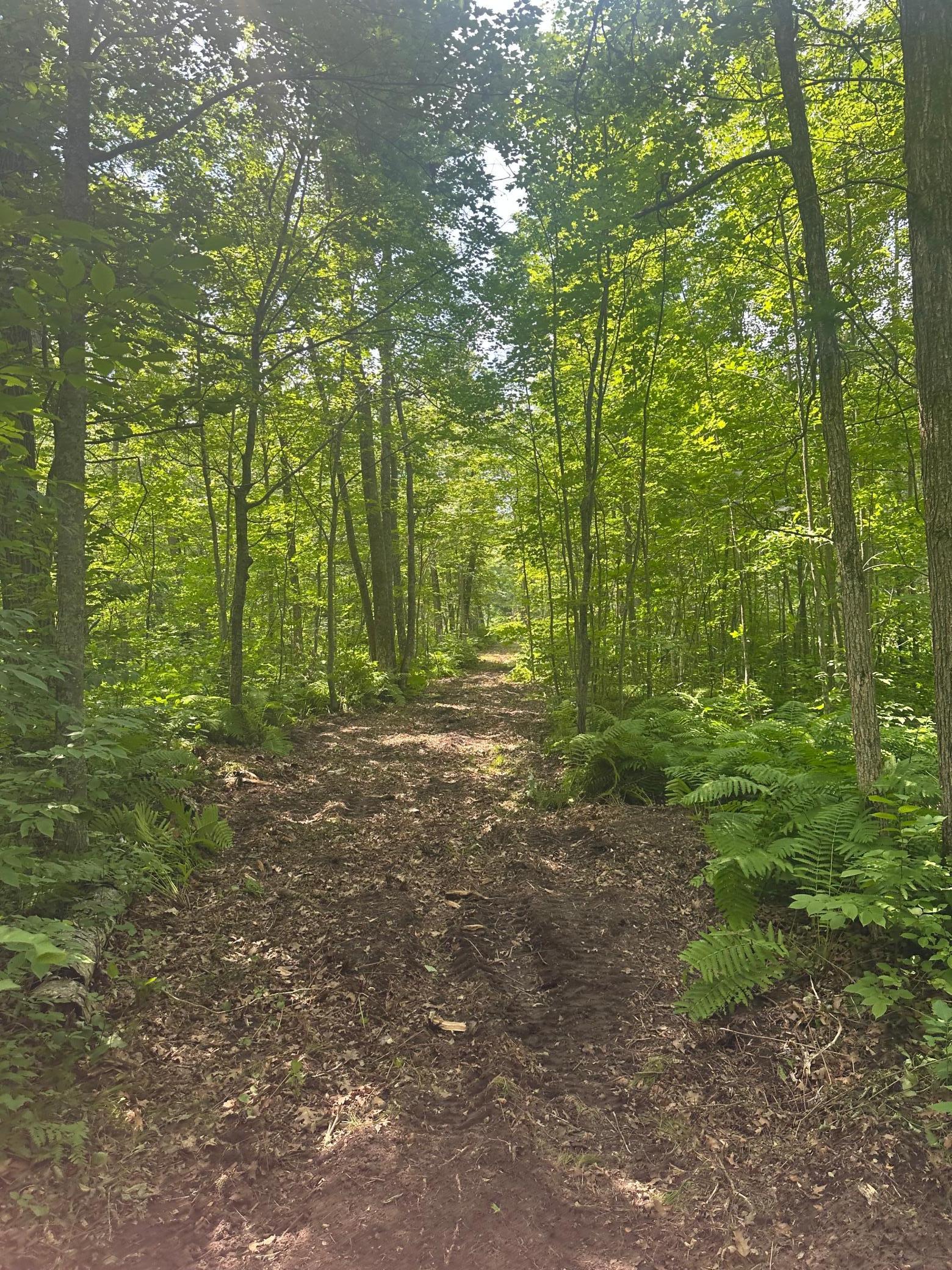 Tbd Tbd Olander Road Crosby, MN 56441 - Photo 10 of 22