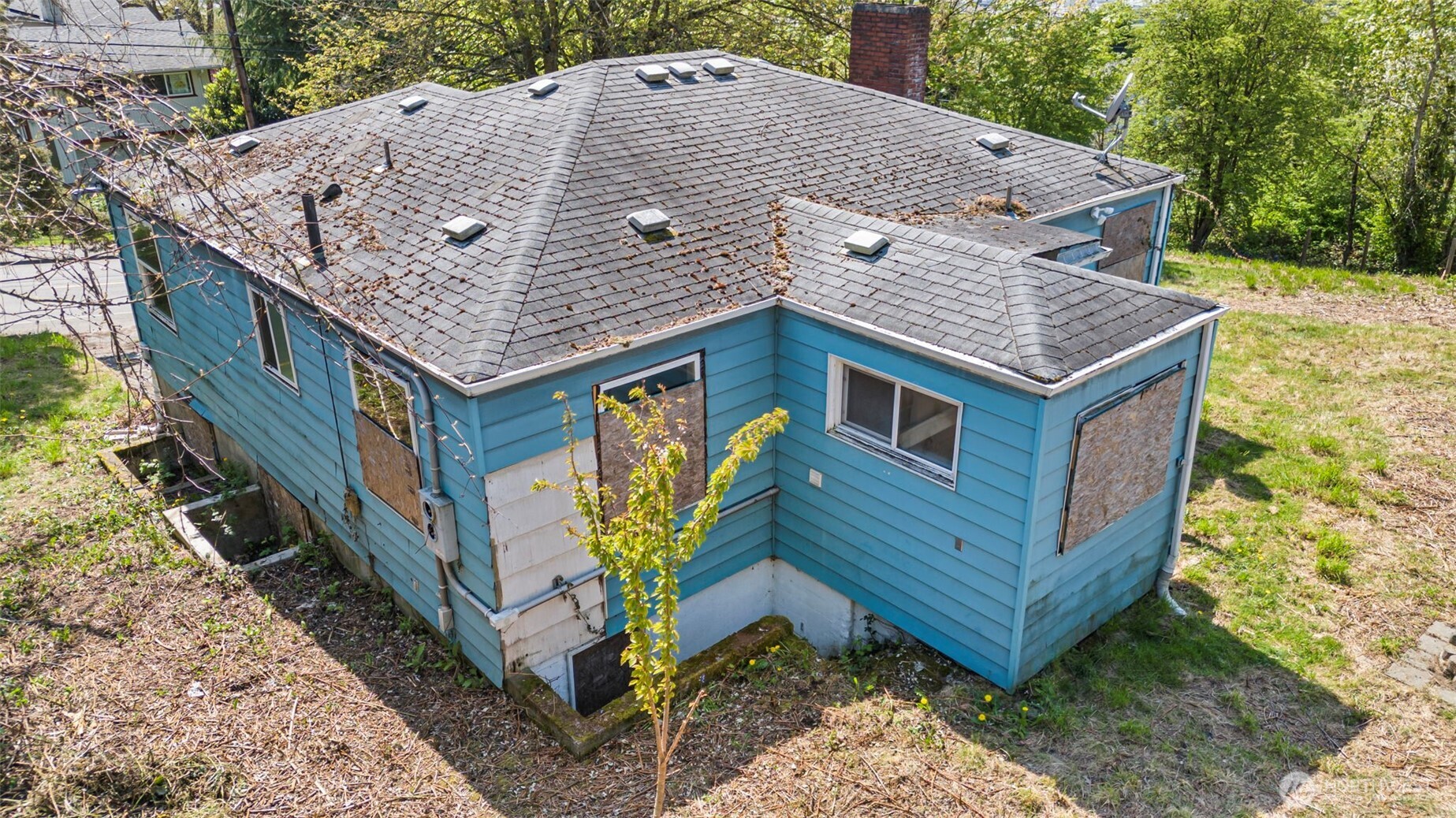 2356 South Graham Street Seattle, WA 98108 - Photo 11 of 19 a aerial view of a house with a yard and large tree