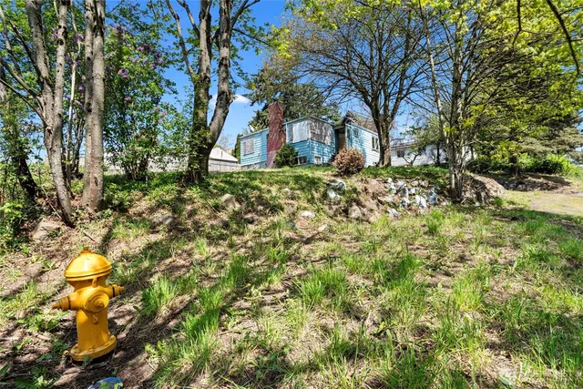 a view of yard with tree