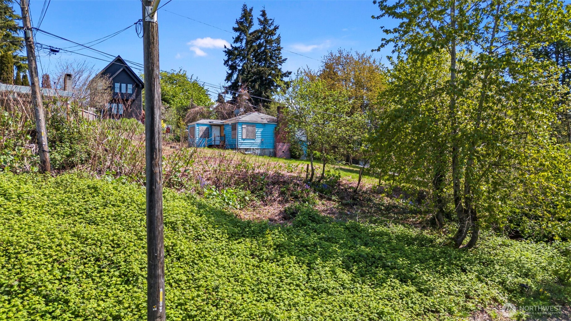 2356 South Graham Street Seattle, WA 98108 - Photo 8 of 19 a view of a house with a tree in the background