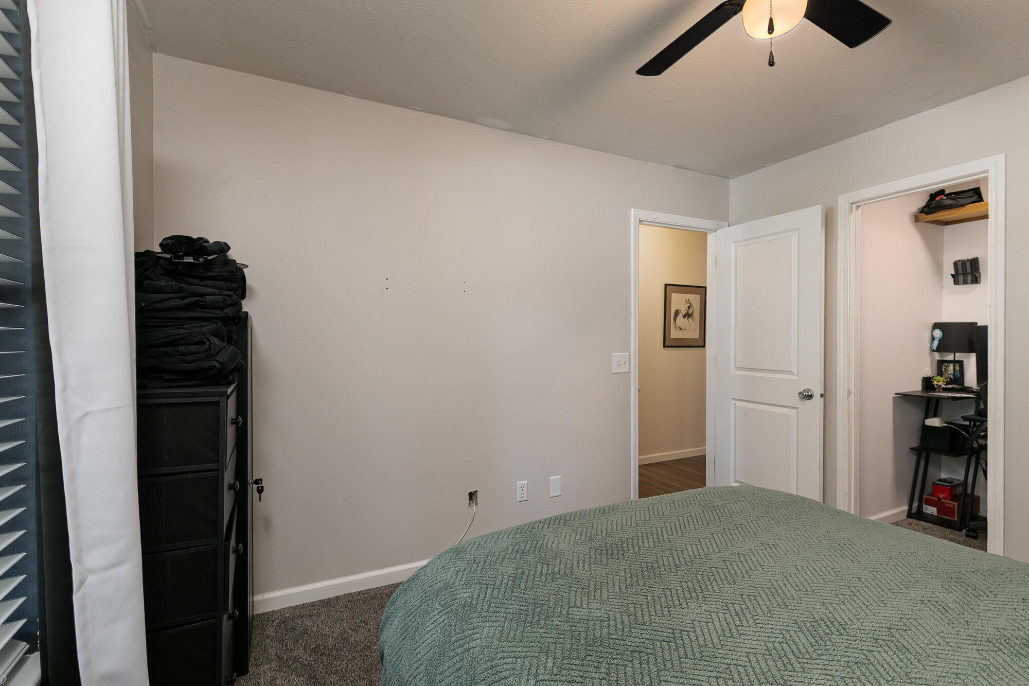 335 South Foster Avenue Springfield, MO 65802 - Photo 23 of 28 7M4A9075 (9)