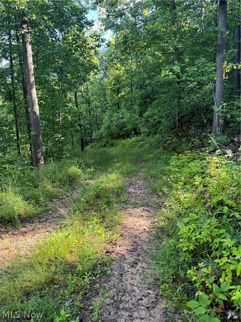 Stone Quarry Road Danville, OH 43014 - Photo 47 of 50