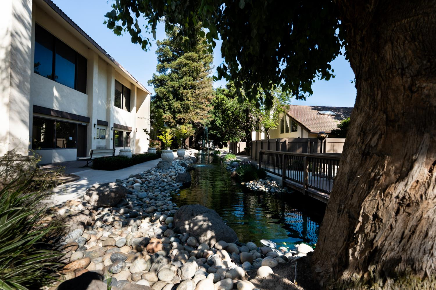 3701 Colonial Drive, Unit 89 Modesto, CA 95356 - Photo 18 of 20 a backyard of a house with lots of green space