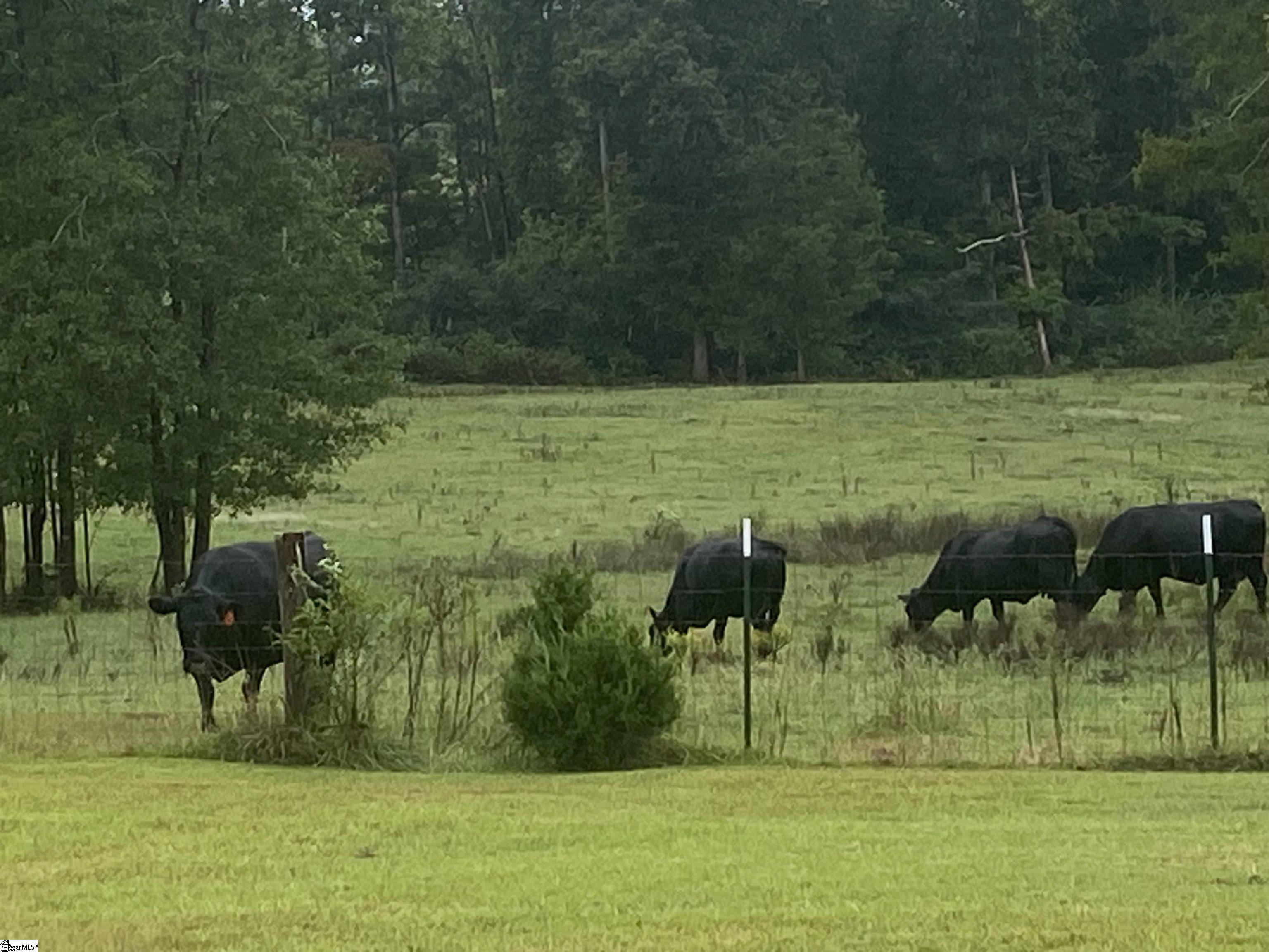 233 Bailey Road Buffalo, SC 29321 - Photo 16 of 19 Gallery Image 16