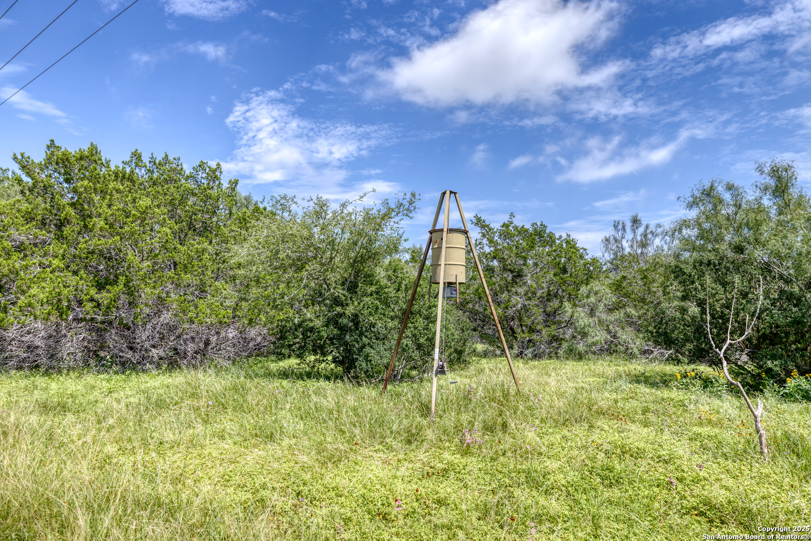 4983 Ranch Road 1051 Uvalde, TX 78801 - Photo 55 of 72