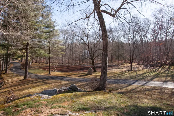 a park view with iron fence and trees