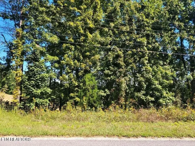 $34,900 | Lot 272 Spruce Drive, Spring City, TN 37381