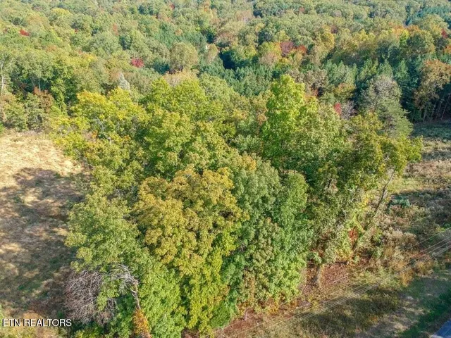 $34,900 | Lot 272 Spruce Drive, Spring City, TN 37381