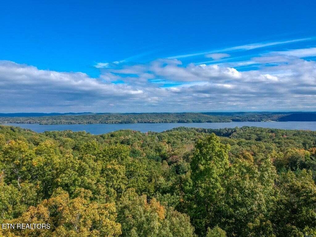 Lot 272 Spruce Drive Spring City, TN 37381 - Photo 3 of 12 20230411181730523146000000-o