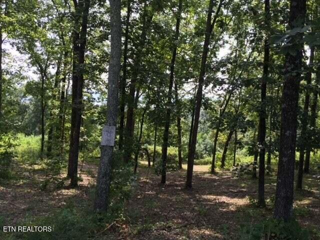 Lot 272 Spruce Drive Spring City, TN 37381 - Photo 4 of 12 20230411181732212554000000-o