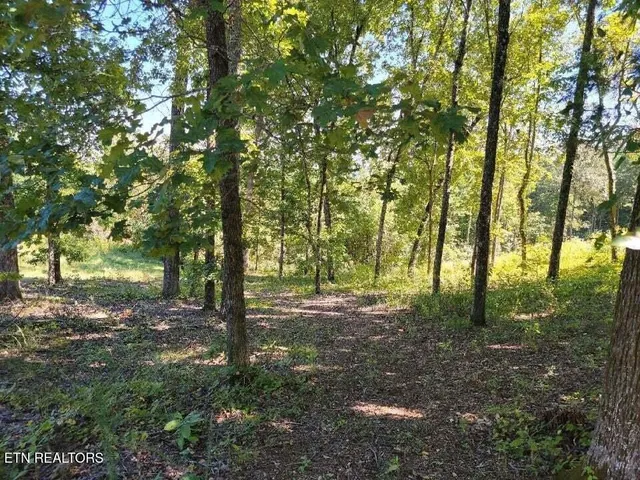 $34,900 | Lot 272 Spruce Drive, Spring City, TN 37381