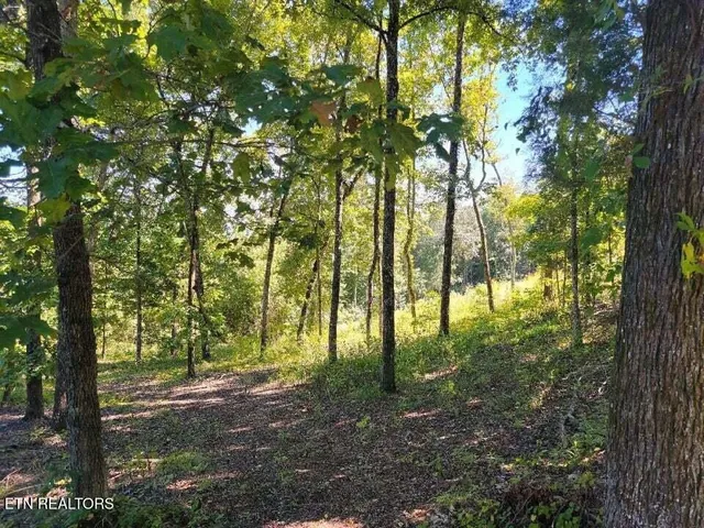 $34,900 | Lot 272 Spruce Drive, Spring City, TN 37381