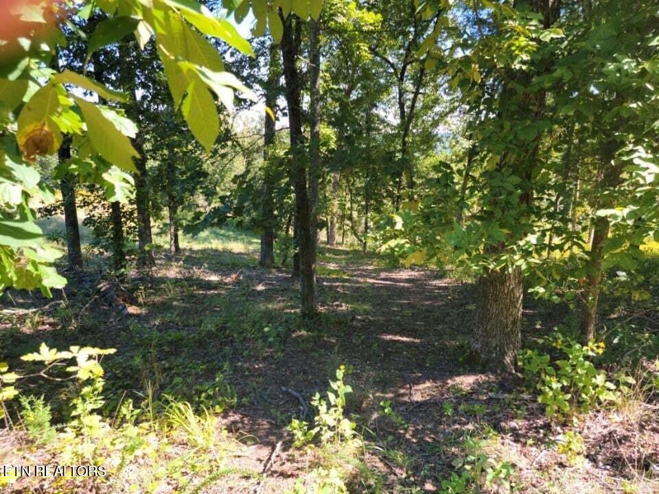 Lot 272 Spruce Drive Spring City, TN 37381 - Photo 8 of 12 20230411181731568475000000-o