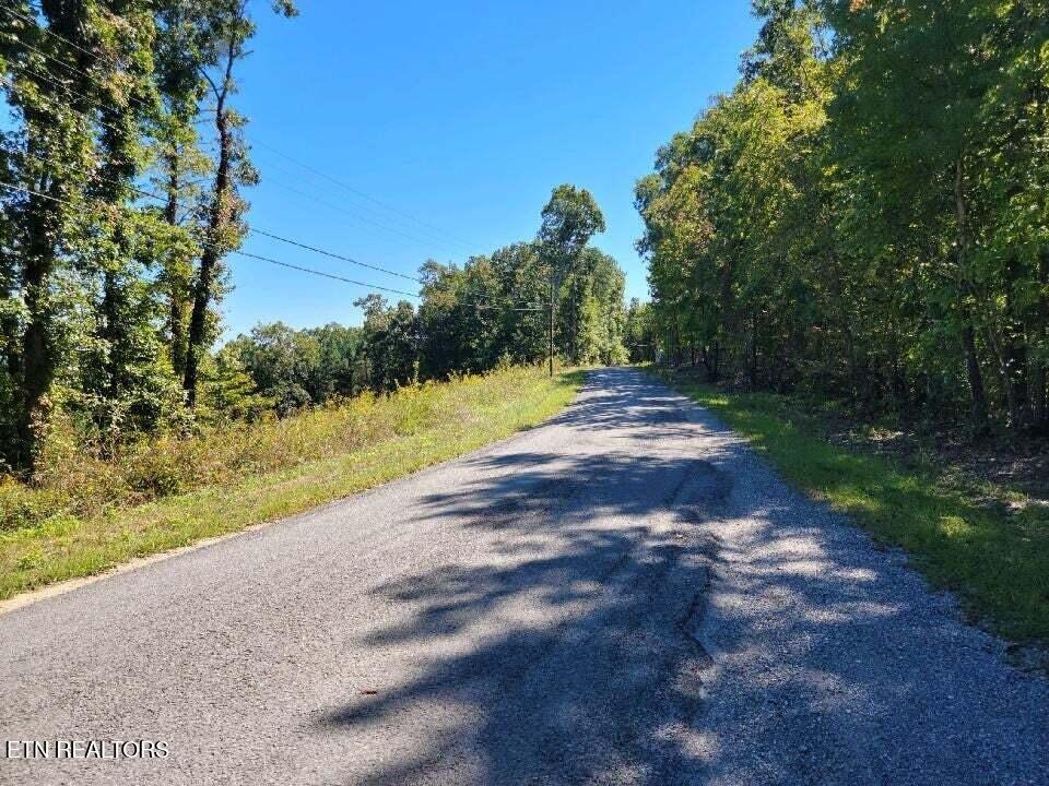 Lot 272 Spruce Drive Spring City, TN 37381 - Photo 9 of 12 20230411181731403785000000-o