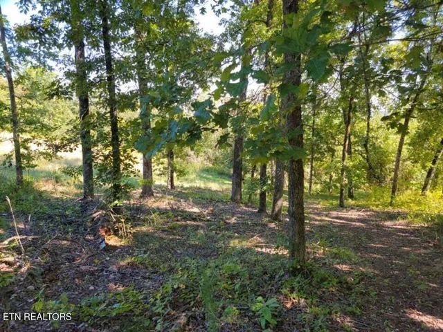 $34,900 | Lot 272 Spruce Drive, Spring City, TN 37381