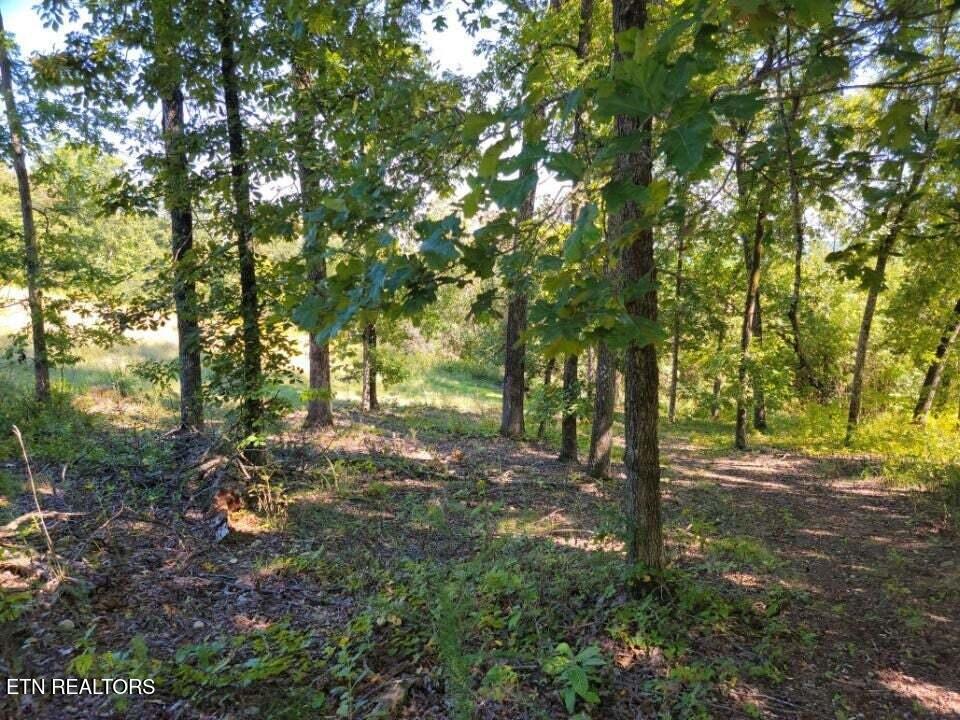 Lot 272 Spruce Drive Spring City, TN 37381 - Photo 10 of 12 20230411181731228193000000-o