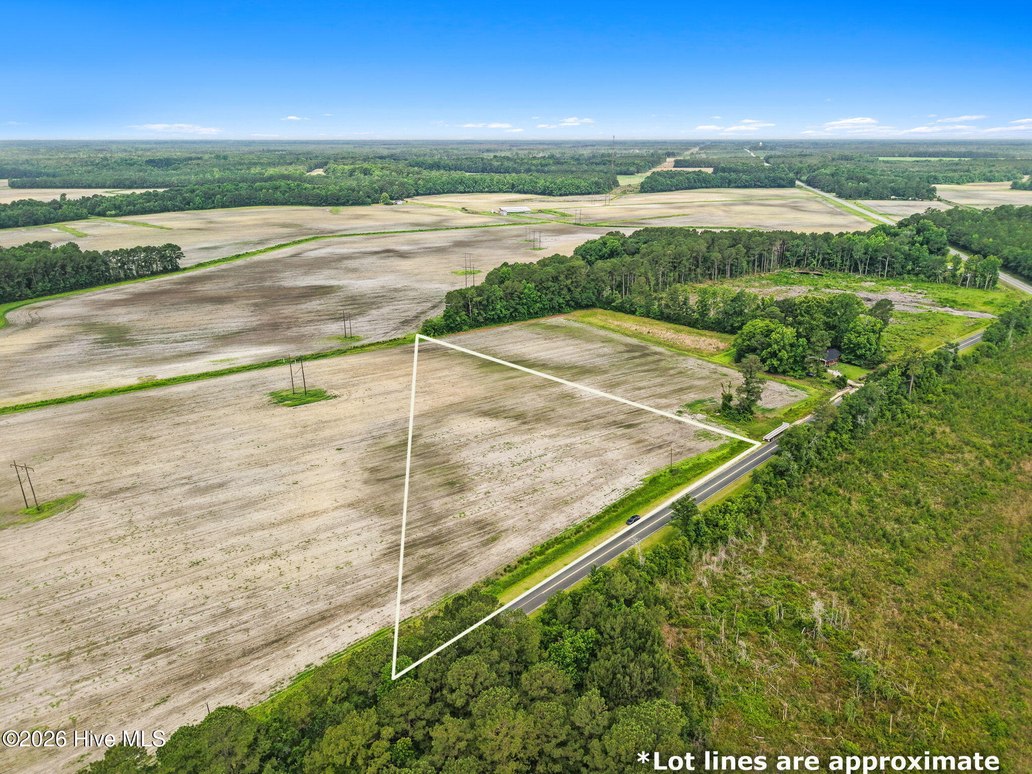 8757 Boggy Branch Road Beulaville, NC 28518 - Photo 6 of 16