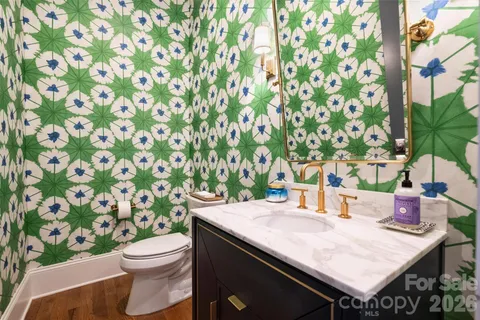 a bathroom with a sink and a toilet
