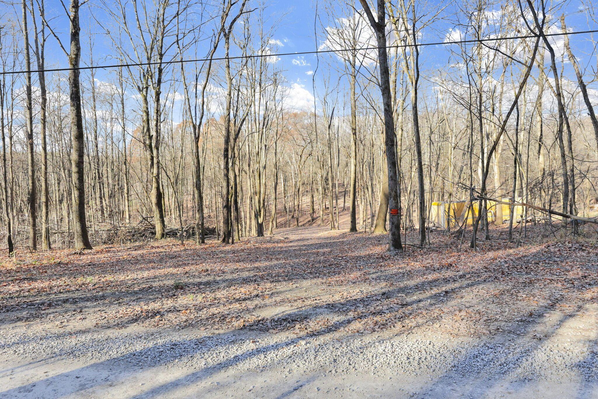 0 Mulberry Road Southeast Mount Perry, OH 43760 - Photo 3 of 9 38-web-or-mls-011A9862