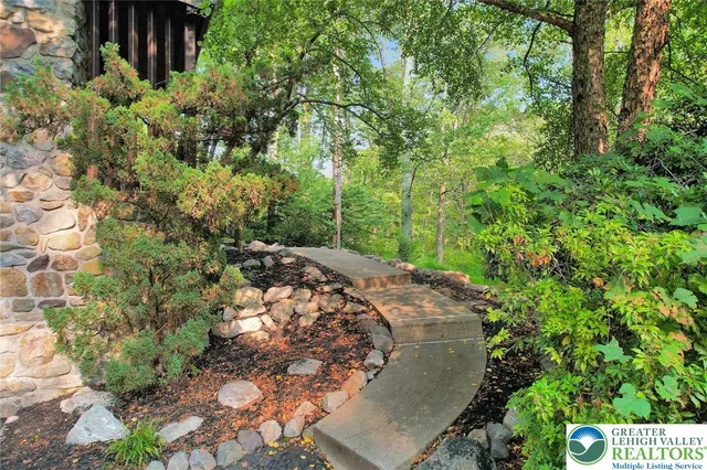 a view of a yard with plants and large trees