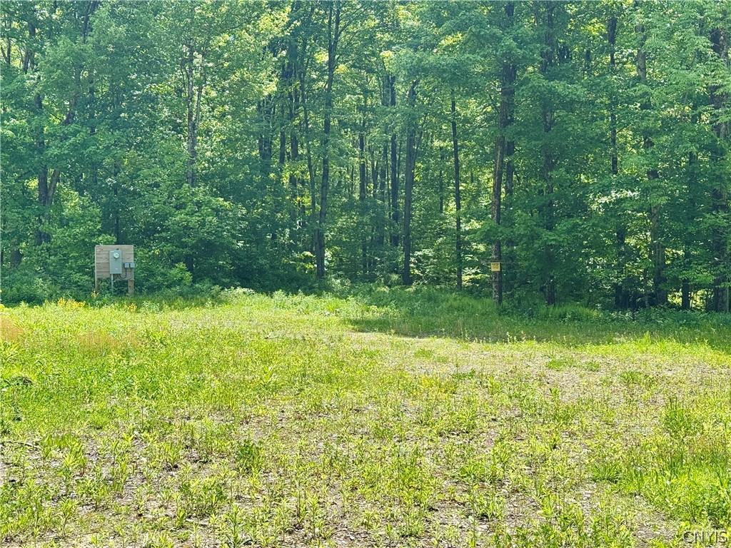 98 Wooliver Road Orwell, NY 13144 - Photo 1 of 11