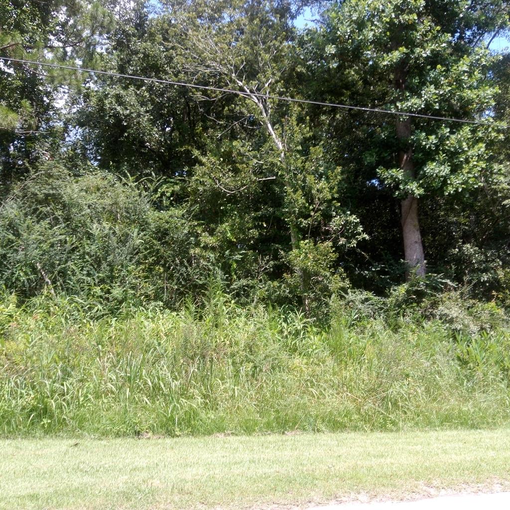 0 South Bay Street Foley, AL 36535 - Photo 1 of 1