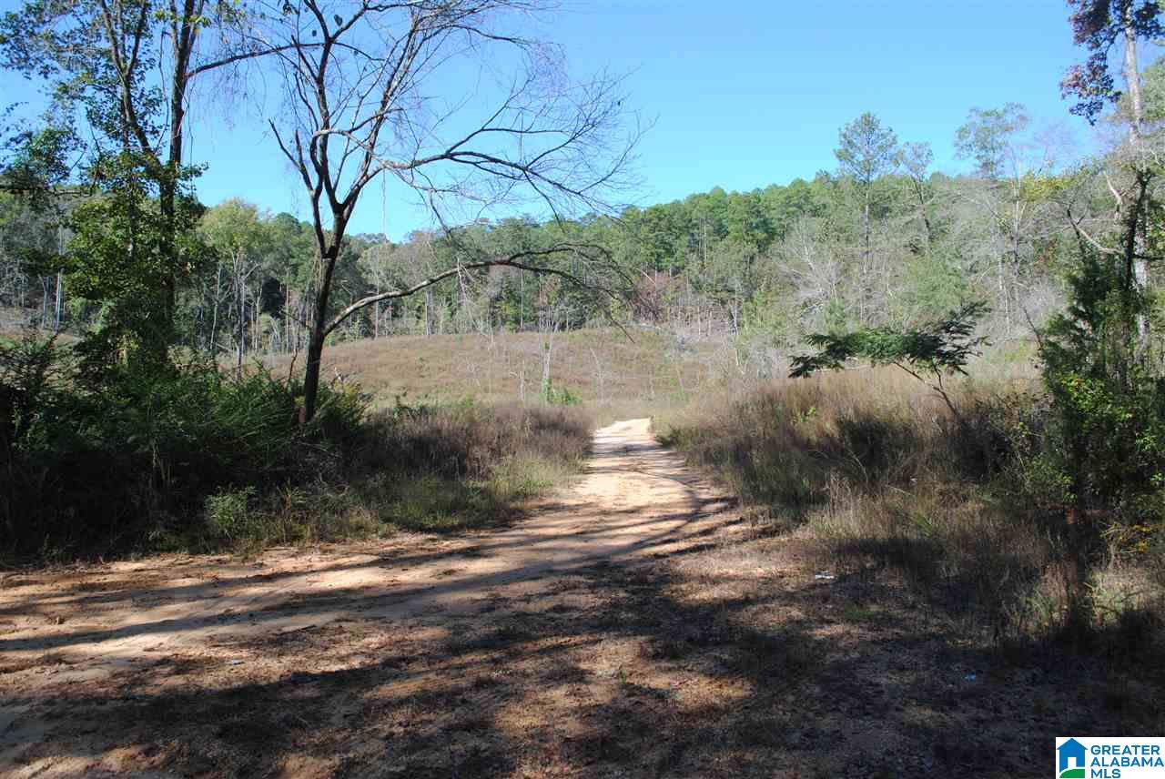 36-acres Barton Road, Unit 36 ACRES Marion, AL 36756 - Photo 10 of 10