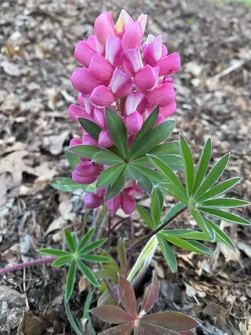 $1,400,000 | 258 North Street, Amery, WI 54001