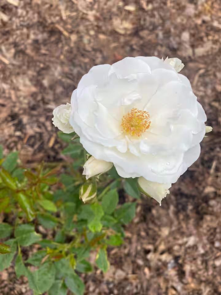 258 North Street Amery, WI 54001 - Photo 30 of 32