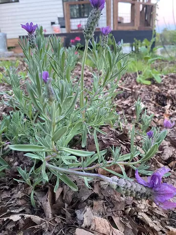 $1,400,000 | 258 North Street, Amery, WI 54001