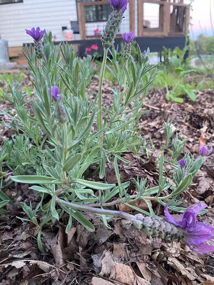 258 North Street Amery, WI 54001 - Photo 31 of 32