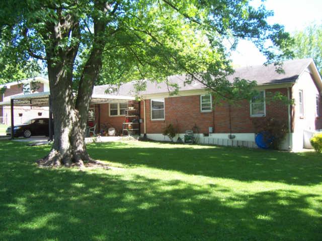 203 Jackson Heights Road Columbia, TN 38401 - Photo 5 of 15 Another view of backyard area with established shade trees.