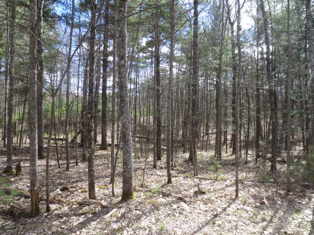 On Cedar Lane Rhinelander, WI 54501 - Photo 15 of 17 Gallery Image 15