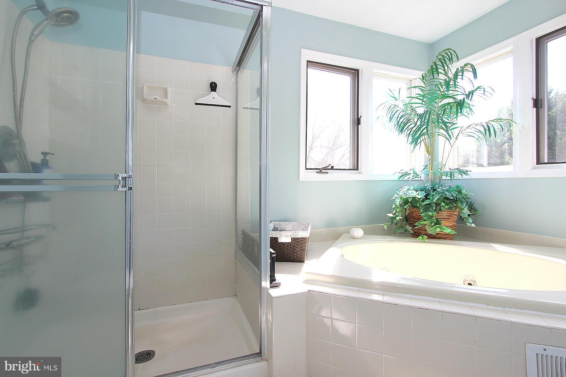 14551 Cutstone Way Silver Spring, MD 20905 - Photo 23 of 30 Bath (Master)