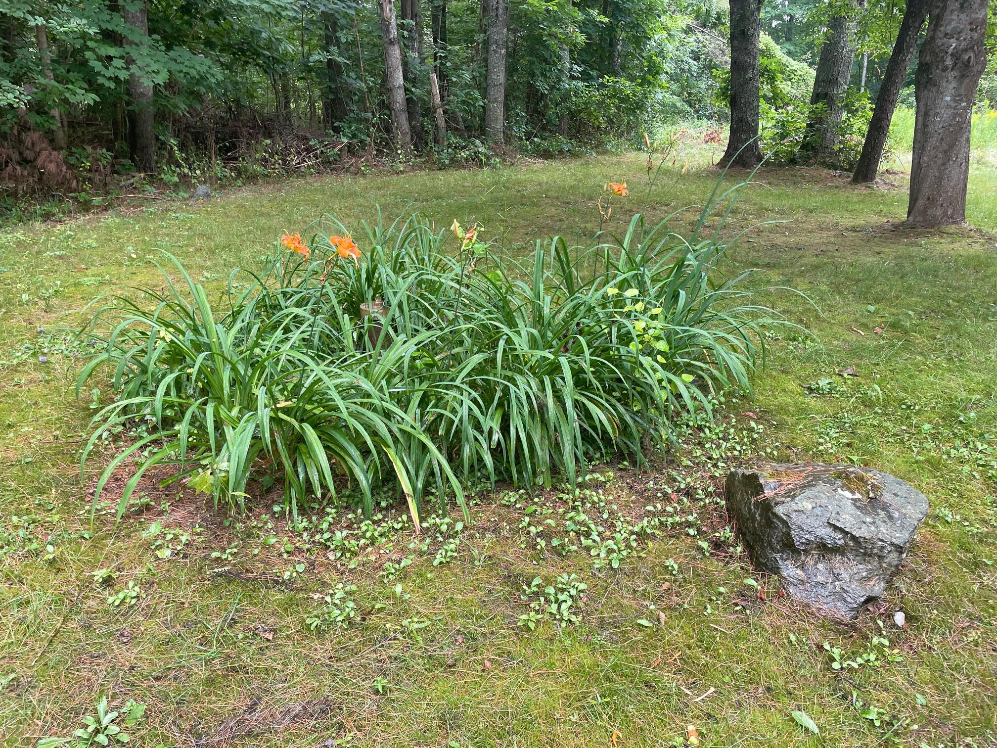 314 The Shore Road Castine, ME 04421 - Photo 24 of 24 314 Shore Road