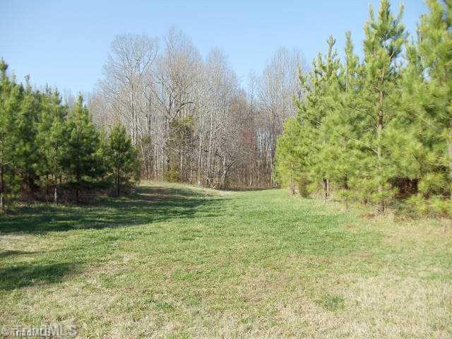 1051 Friendship Church Road Lexington, NC 27295 - Photo 6 of 12 Land.