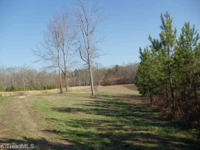 1051 Friendship Church Road Lexington, NC 27295 - Photo 7 of 12 Land/Lot.