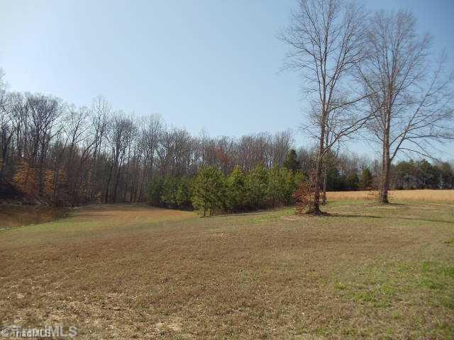 1051 Friendship Church Road Lexington, NC 27295 - Photo 9 of 12 Land.